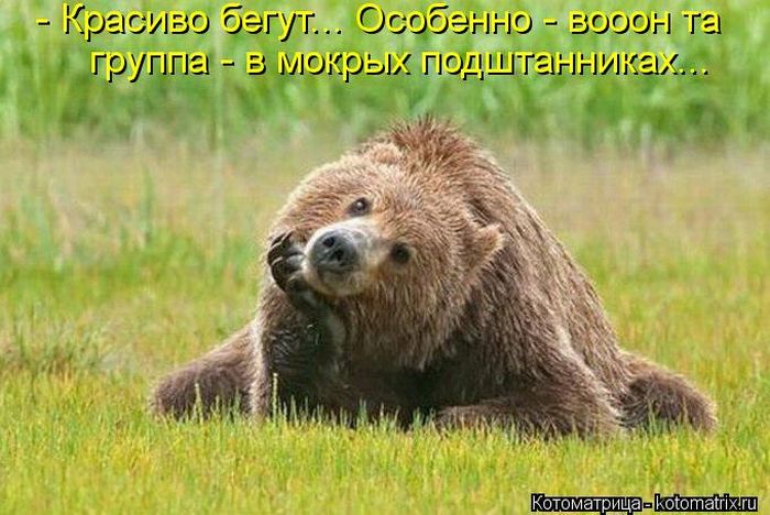 https://images.vfl.ru/ii/1742805659/49b72e85/39768197.jpg
