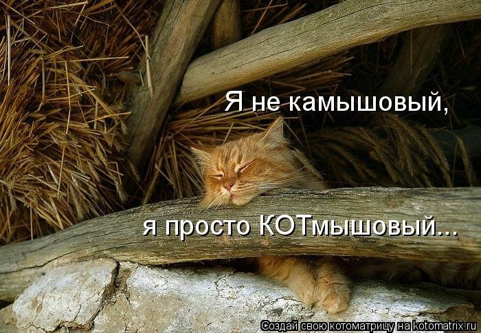 VFL.RU - ��� �����������
