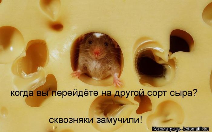 VFL.RU - ��� �����������