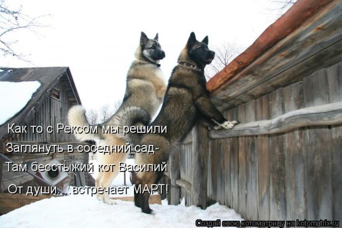 VFL.RU - ��� �����������