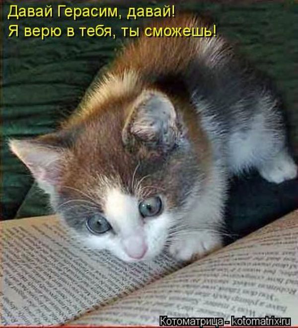 VFL.RU - ��� �����������