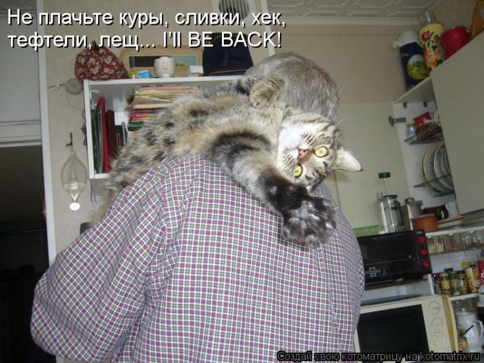 VFL.RU - ��� �����������