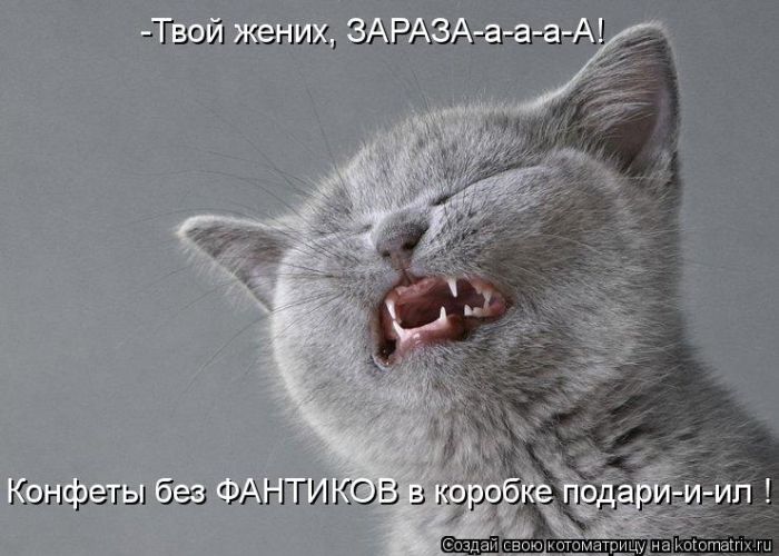 VFL.RU - ��� �����������
