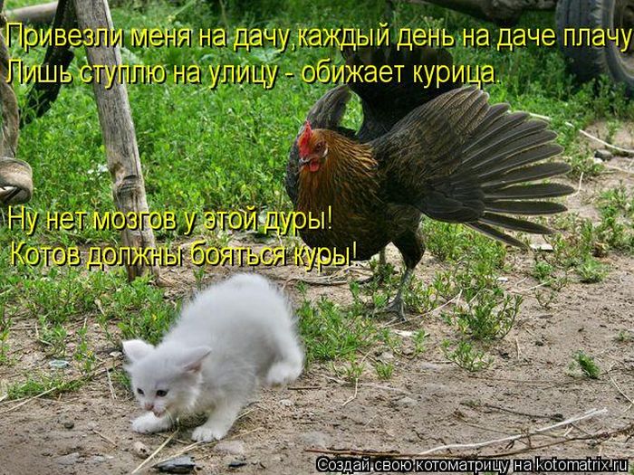 VFL.RU - ��� �����������