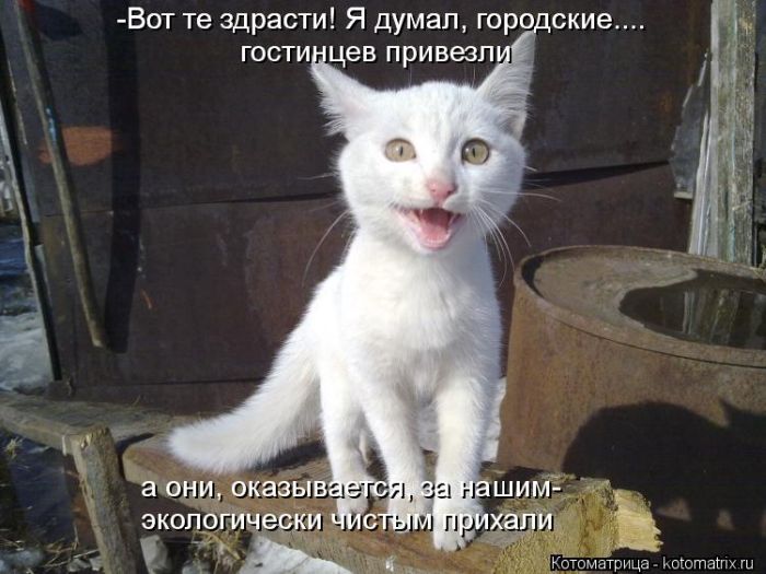 VFL.RU - ��� �����������