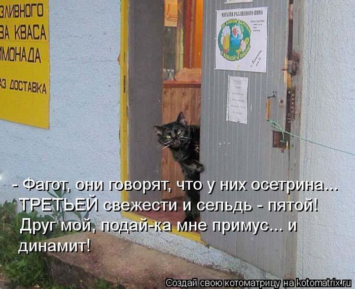 VFL.RU - ��� �����������