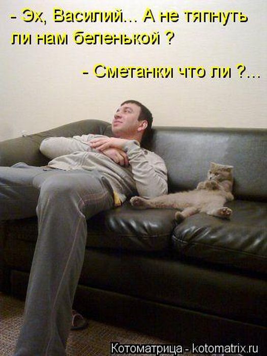 https://images.vfl.ru/ii/1742805746/54cf4a4d/39768218.jpg