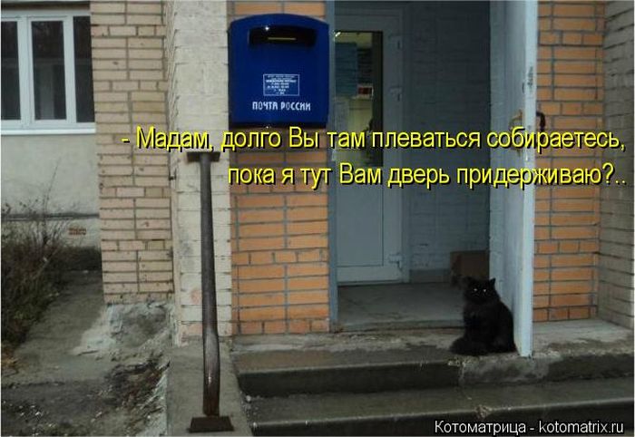 VFL.RU - ��� �����������