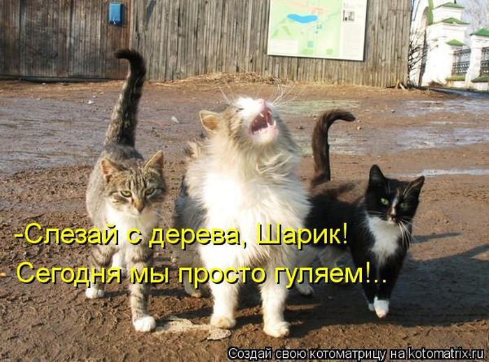 VFL.RU - ��� �����������