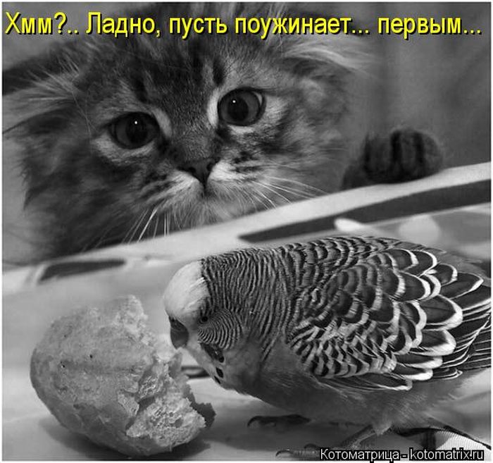 VFL.RU - ��� �����������
