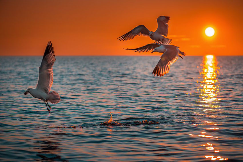 VFL.RU - ��� �����������