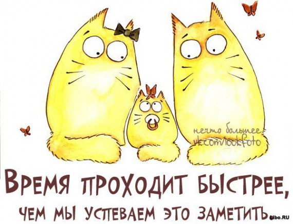 VFL.RU - ��� �����������