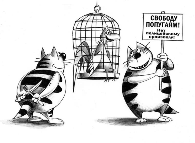 VFL.RU -  