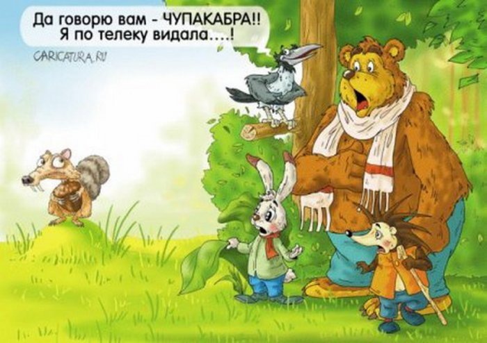 VFL.RU -  