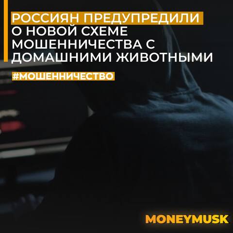 39775188_m.jpg