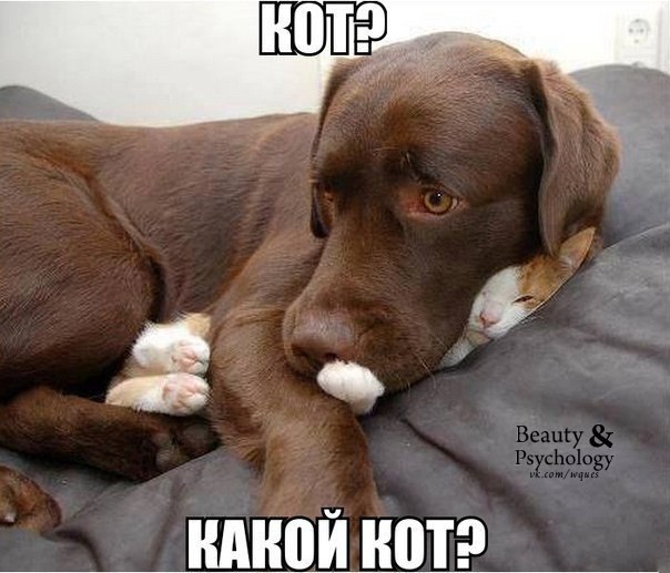 https://images.vfl.ru/ii/1743422428/6797a26a/39775659.jpg
