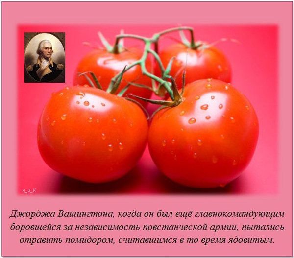 VFL.RU -  