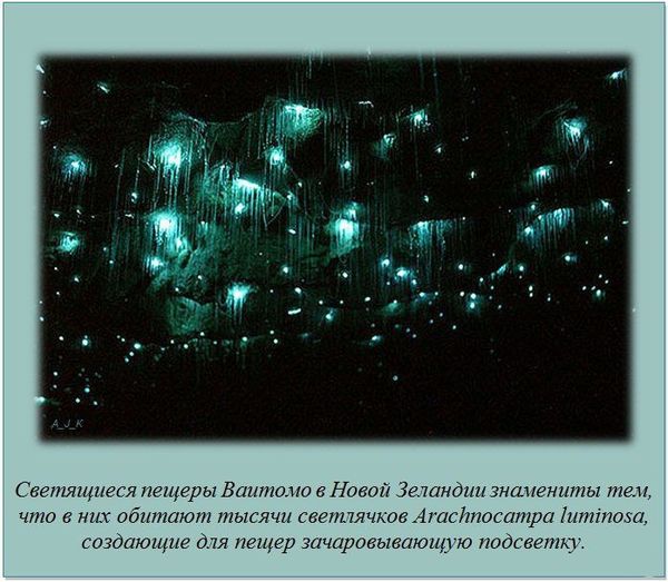 VFL.RU -  
