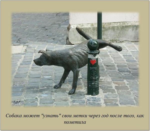 VFL.RU -  