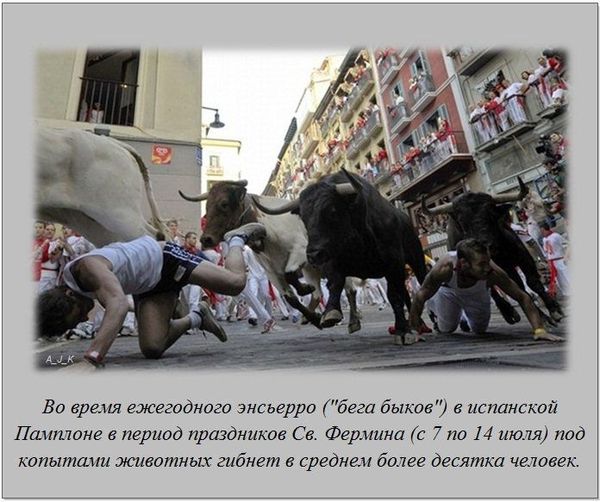 VFL.RU -  