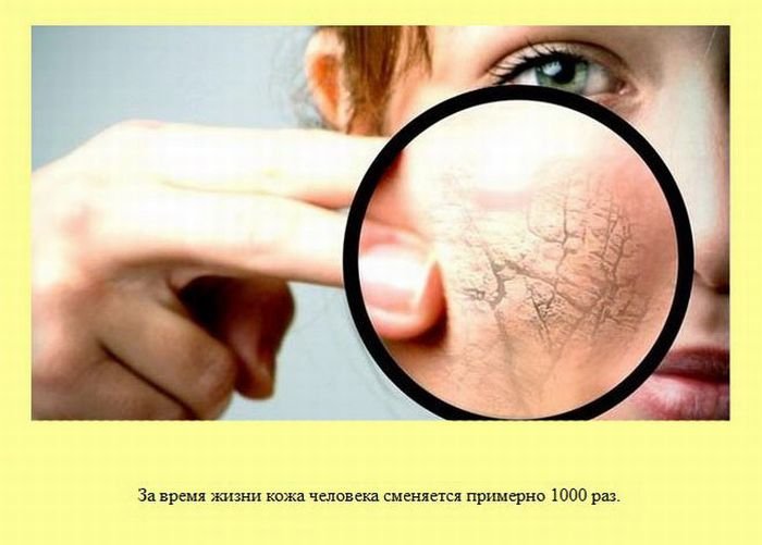 VFL.RU -  