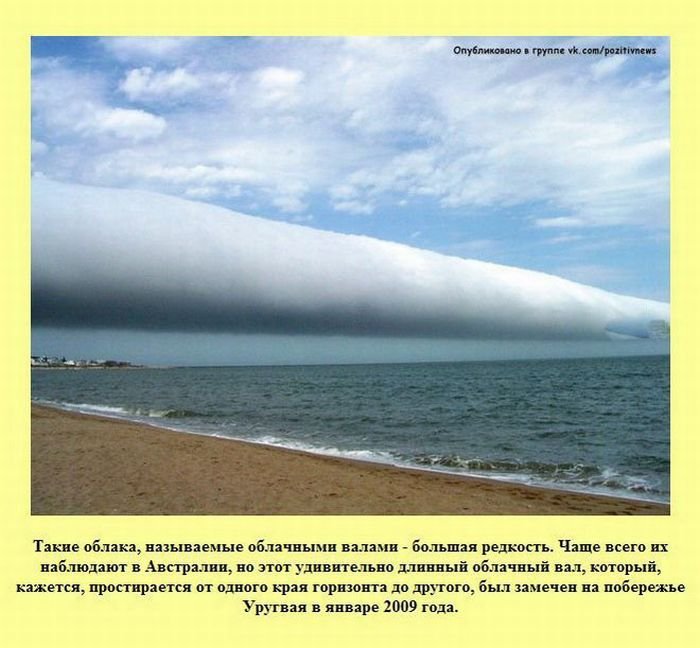 VFL.RU -  