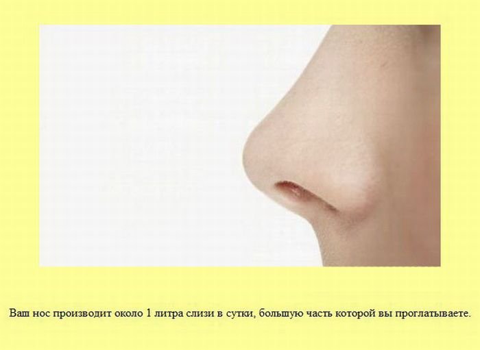 VFL.RU -  