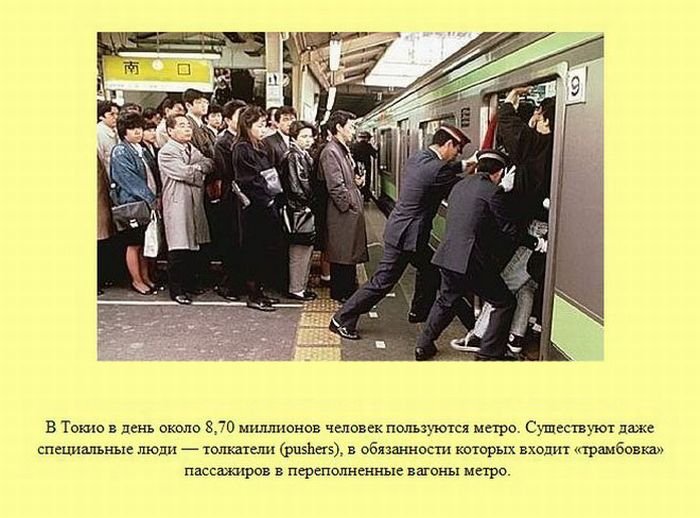 VFL.RU -  