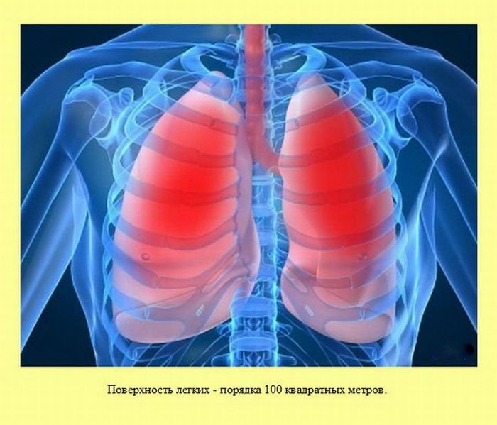 VFL.RU -  
