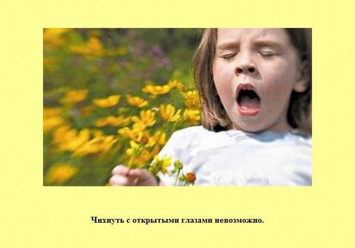 VFL.RU -  