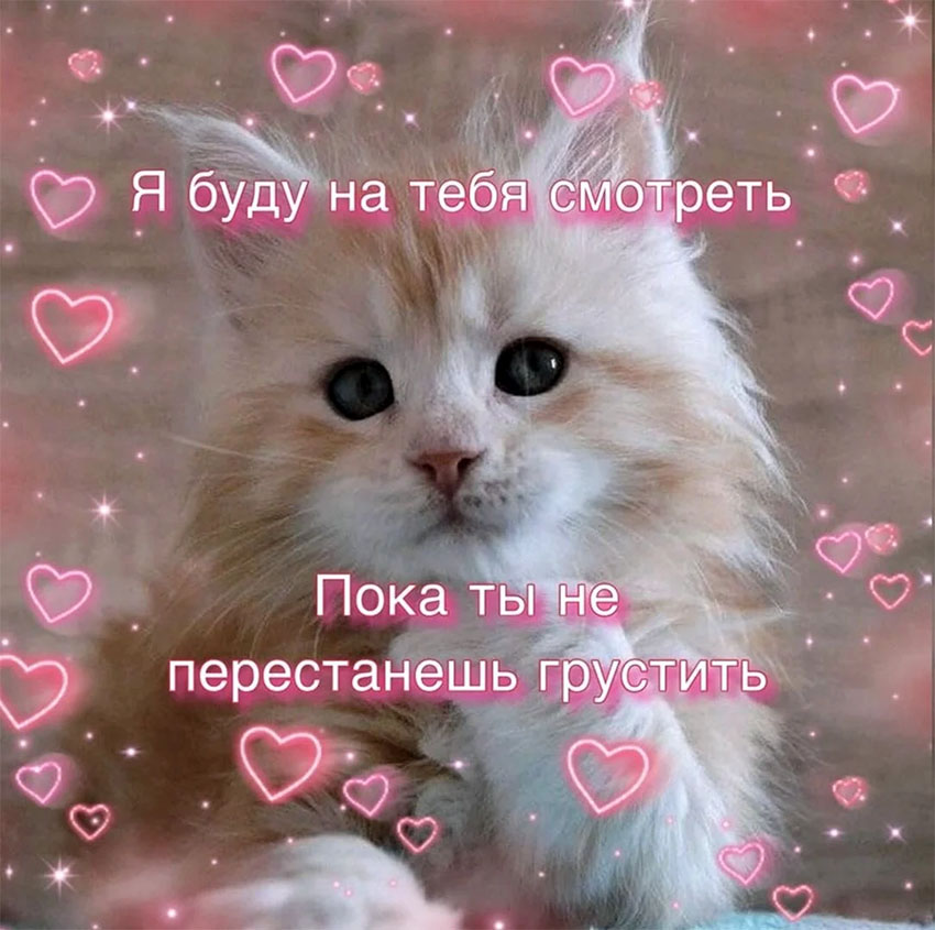 VFL.RU -  