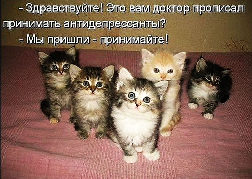VFL.RU -  