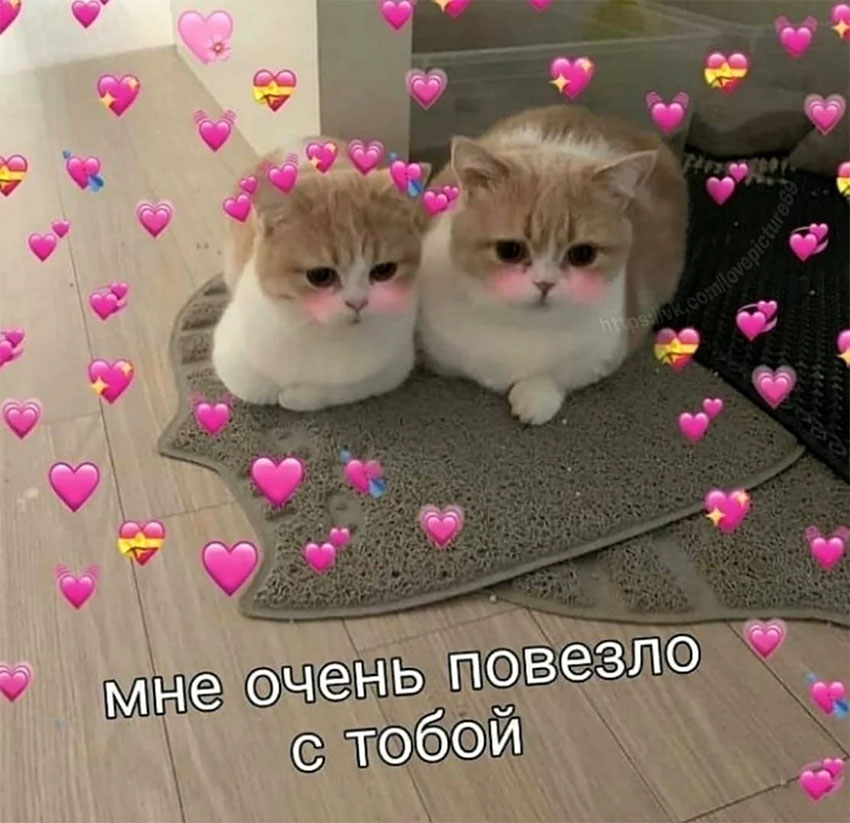 VFL.RU -  