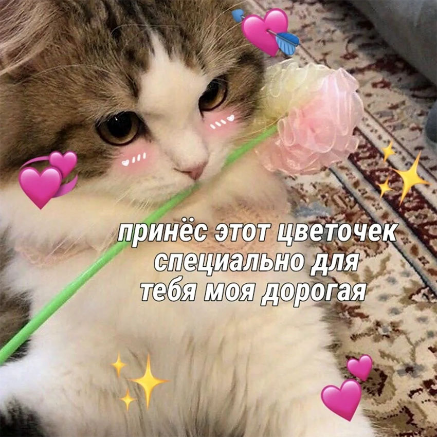 VFL.RU -  