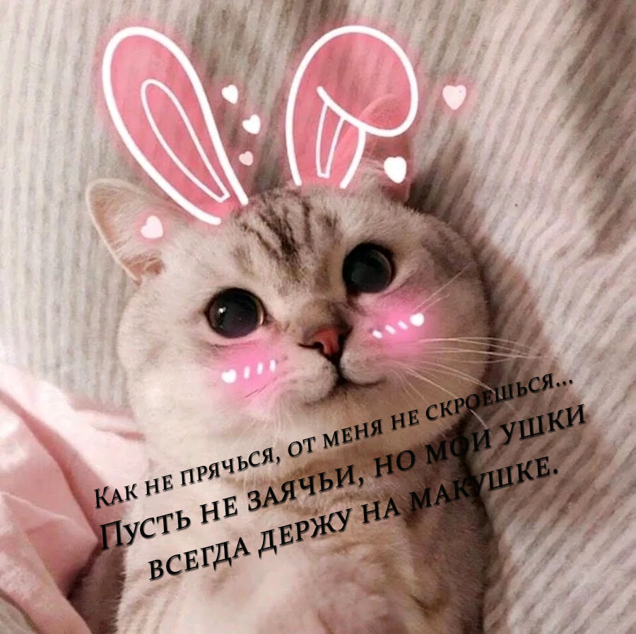 VFL.RU -  