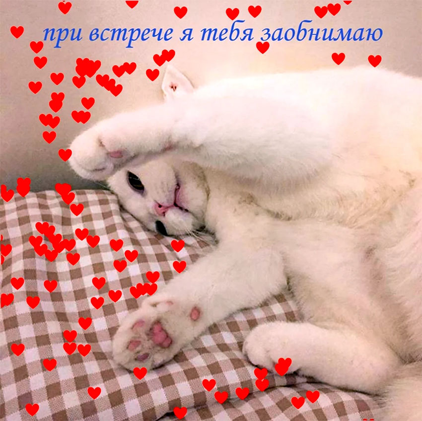 VFL.RU -  
