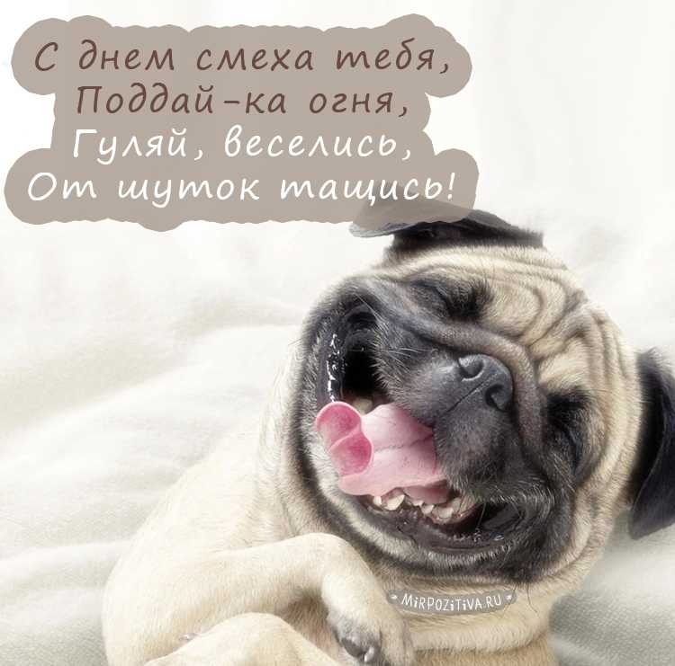 VFL.RU -  