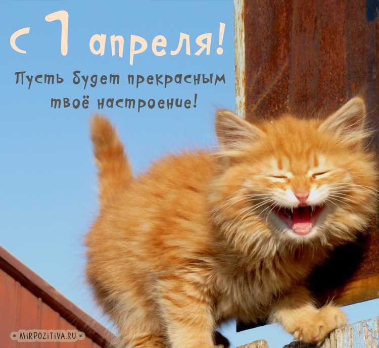 VFL.RU -  
