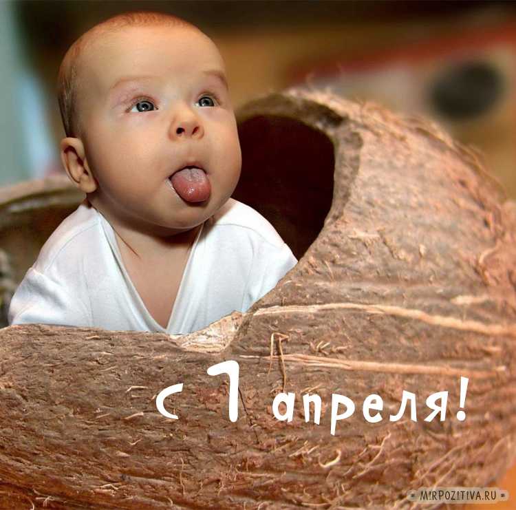 VFL.RU -  
