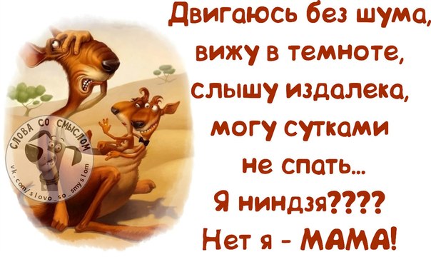 VFL.RU -  