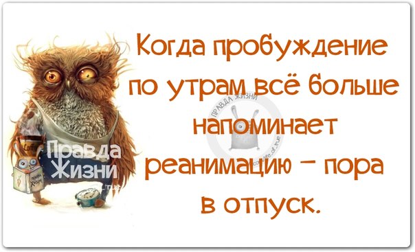 VFL.RU -  