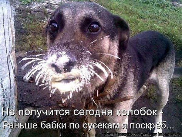 VFL.RU -  