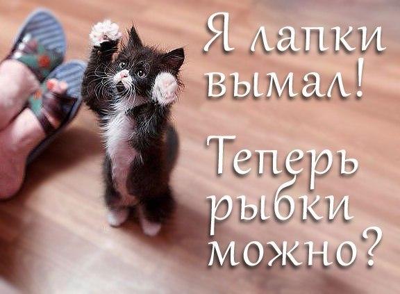 VFL.RU -  