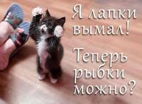 VFL.RU - ваш фотохостинг