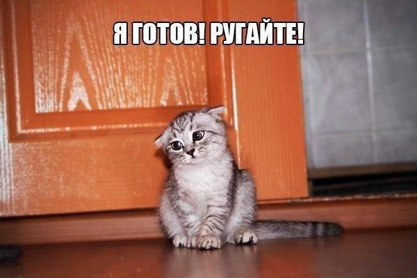 VFL.RU -  