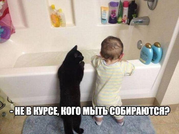 VFL.RU -  