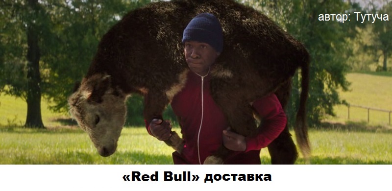 39781428.jpg