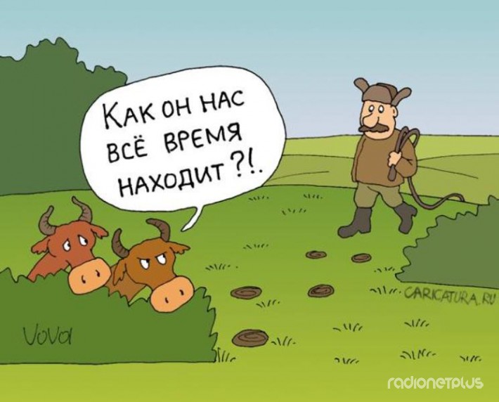 VFL.RU -  