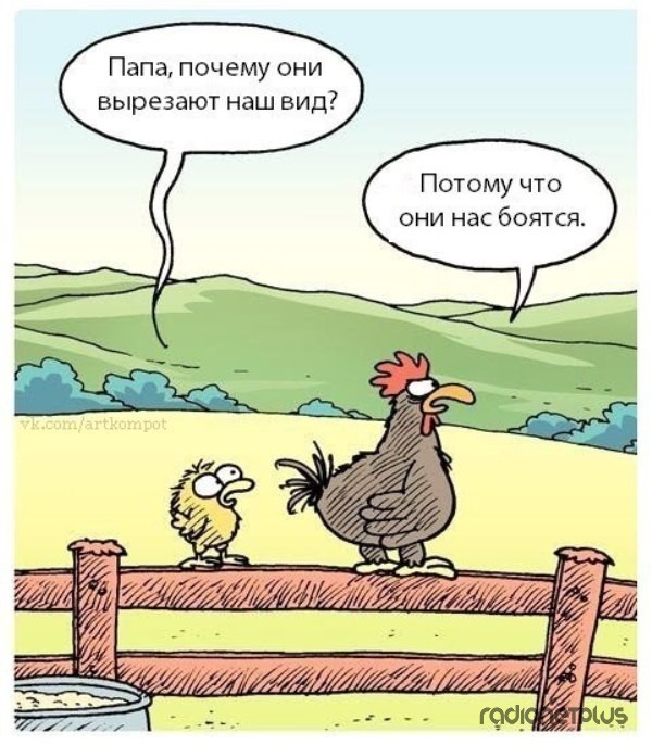 VFL.RU -  