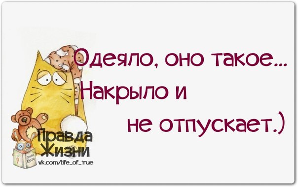 VFL.RU -  